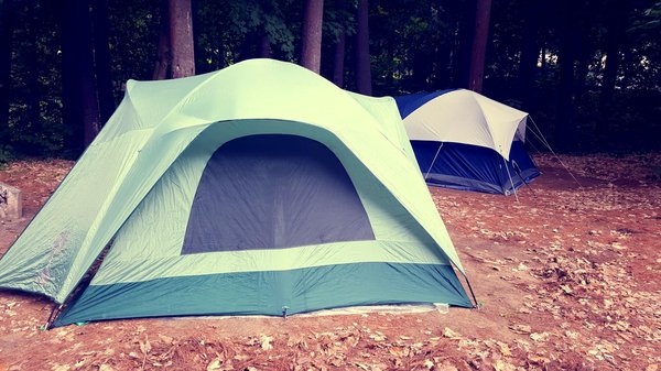 Pourquoi préférer un emplacement pour camping-car à un hôtel ?